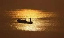 恋雨（随笔）_50字