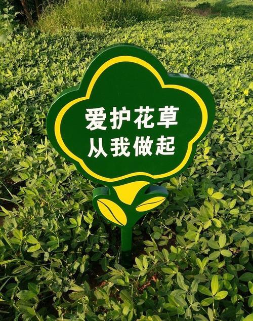 爱花