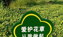 爱护花草