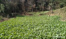 等待的永恒_150字