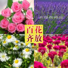 四个季节的芬芳