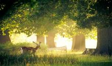 珍惜你所拥有的