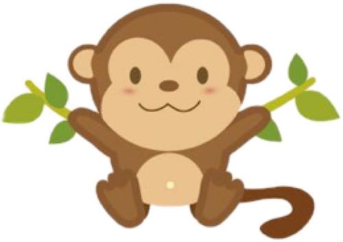 可爱的小猴子