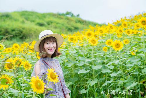 体验自然