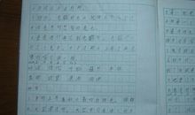 幸福好段好句：关于幸福的精选好句好段_650字