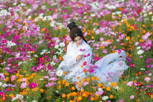 我爱家乡的花田
