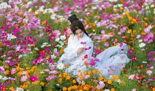 我爱故乡的花田