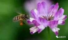 我听见了春天的声音