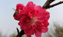 成长，伴一路芬芳