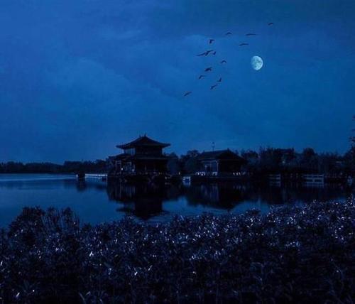 诗意的