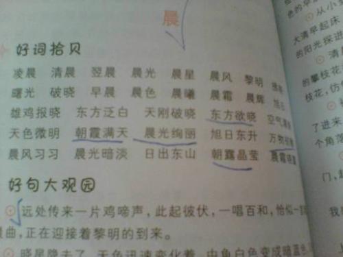 幸福的好句子：描述幸福的好句子_1200个单词