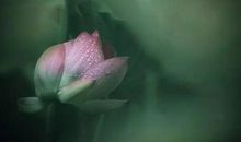 倾听生命里那些醉人的声音