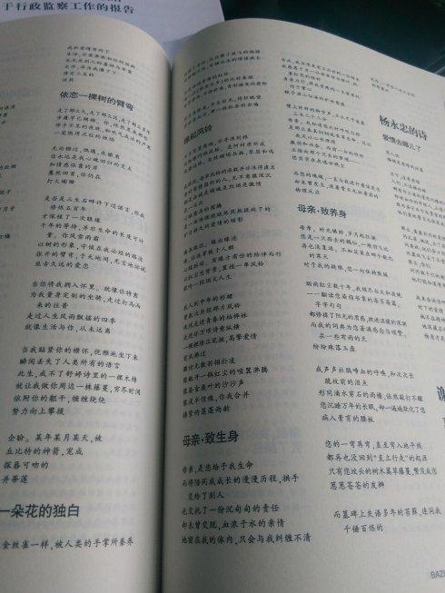 一棵树的自白
