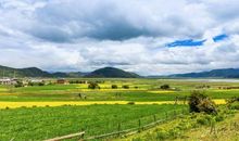 最吸引我的草地