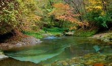 迷人的客山公园