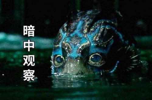 我不平凡