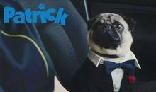 我的冤家_1200字