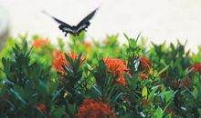 我和春天有个约会