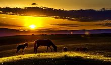 我学会了以最骄傲的姿态去拥抱太阳