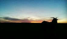 美丽的风景无处不在