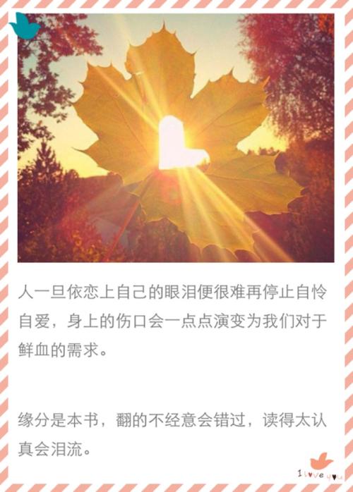 我感觉到阳光