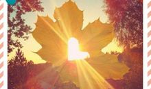 我感受到了阳光