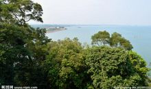 隔岸风景未必好