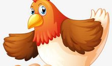 母鸡