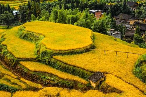 心田风景