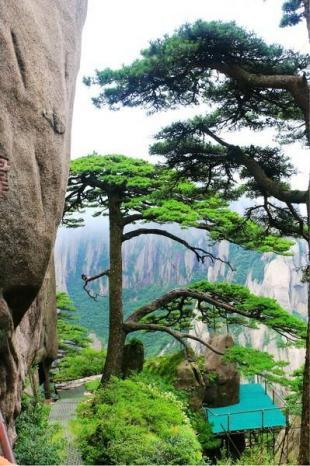 黄山游记