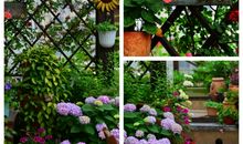 我家花园四季美