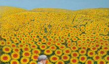 做一株仰望天空的向日葵——读《青铜葵花》有感