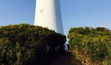 记忆中的那一抹醇香