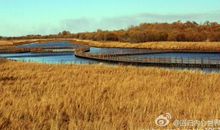 从内心去观望世界