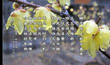 春寒，我真的好冷