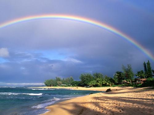 透过风雨看彩虹_400字