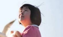 天边飞来一只鸟