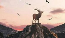 我努力读懂友谊