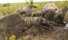 人类，爱护大自然吧！