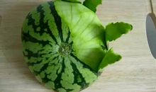 一块西瓜皮_500字