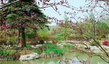 生活中的一朵小浪花