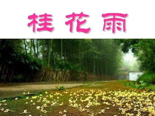 雨中..._ 800字