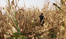 一次有意义的劳动