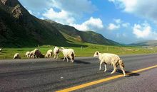 走在寻梦的小路上