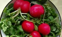 [2016新年心愿]又一年_1000字