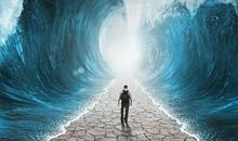 因痛苦而清醒因思考而复活