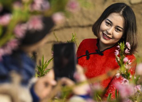 桃花