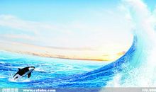 最吸引我的大海