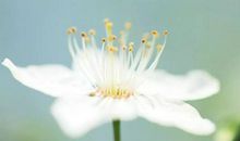 陪伴是一种熨帖