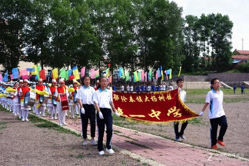 我爱学校里的大杨树_500字